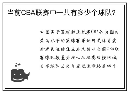 当前CBA联赛中一共有多少个球队？